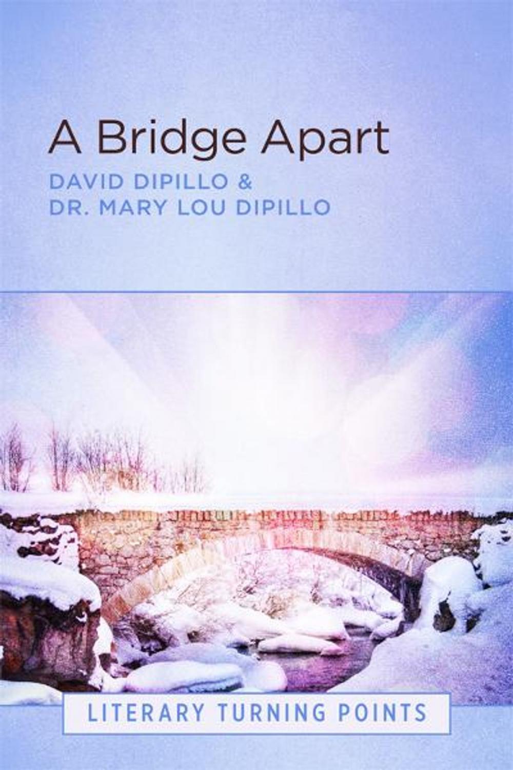 Big bigCover of A Bridge Apart (Literary Turning Points)