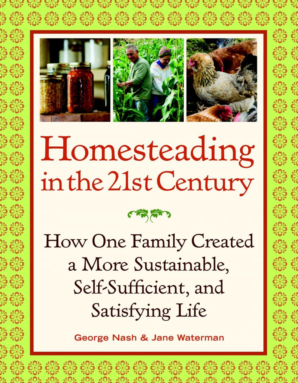 Big bigCover of Homesteading in the 21st Century