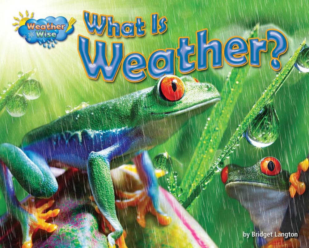 Big bigCover of What Is Weather?