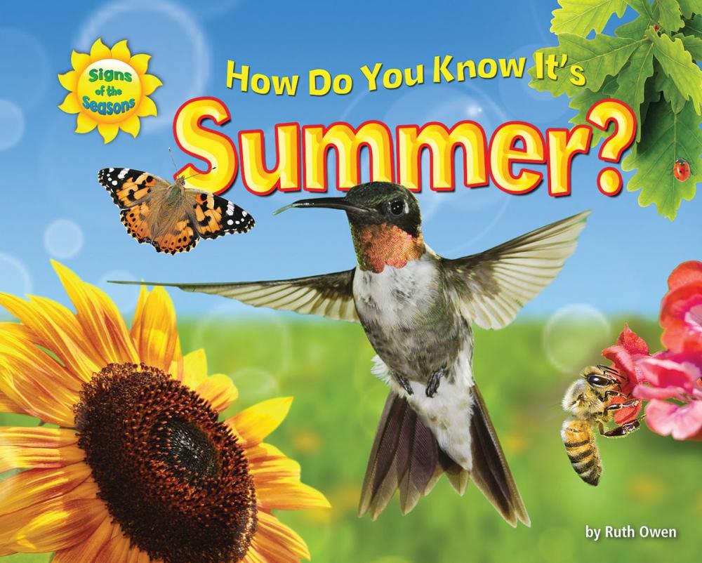 Big bigCover of How Do You Know It’s Summer?