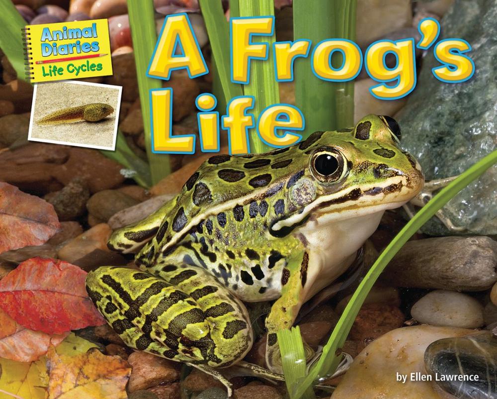 Big bigCover of A Frog's Life