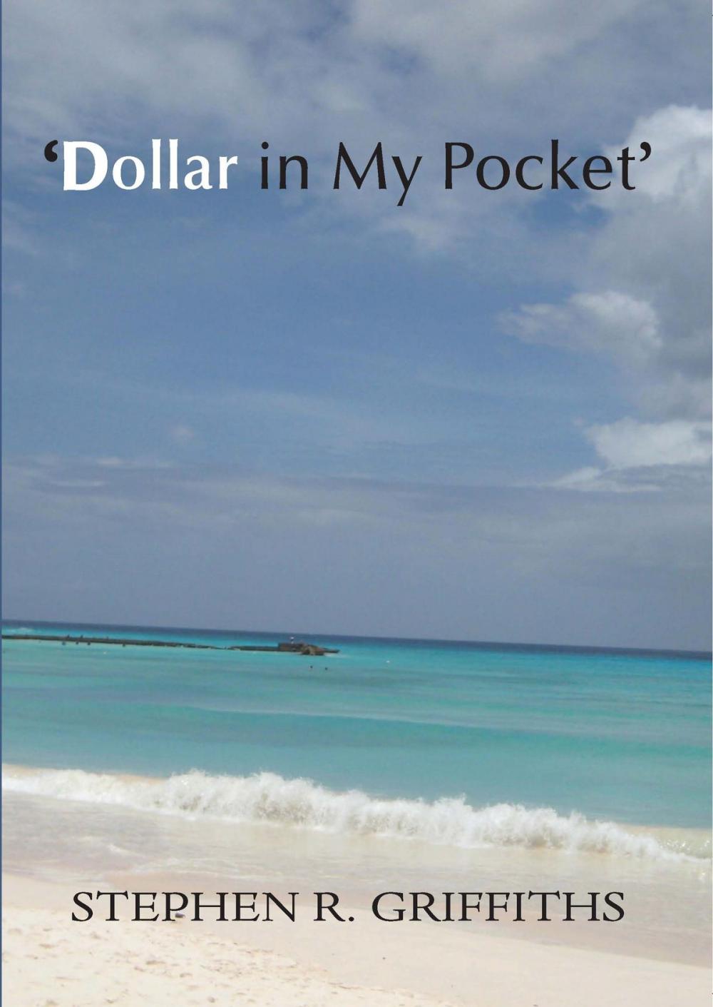 Big bigCover of Dollar In My Pocket