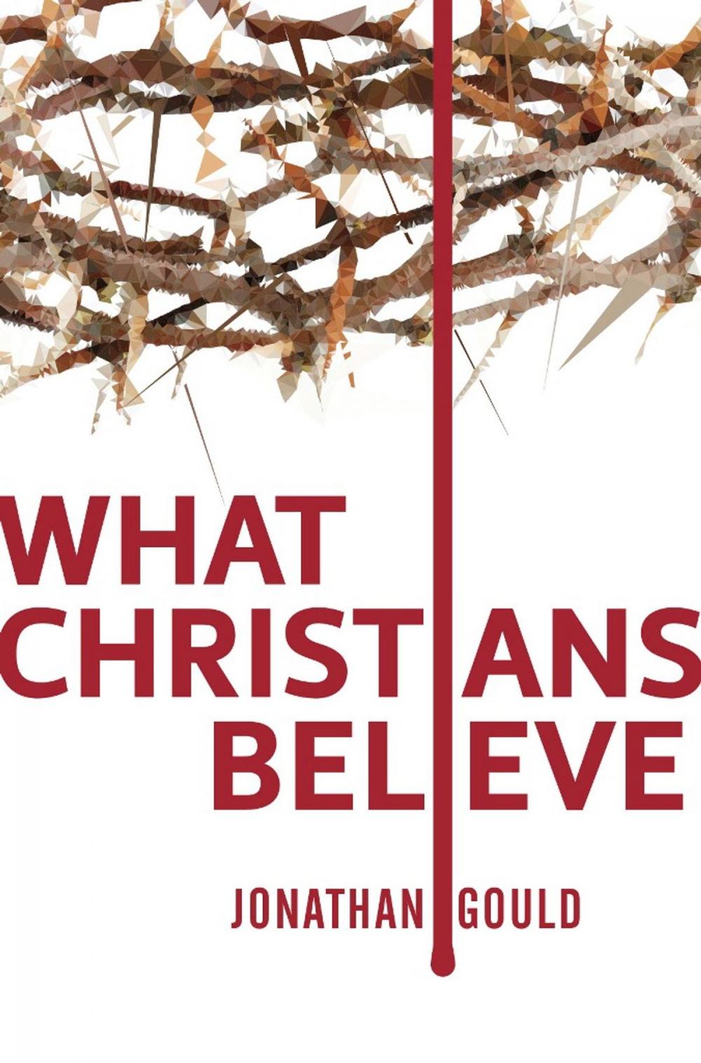 Big bigCover of What Christians Believe