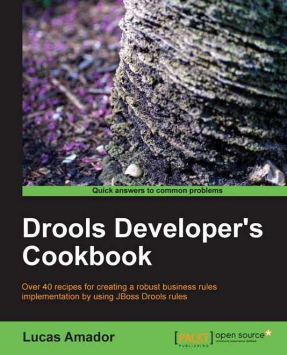 Big bigCover of Drools Developers Cookbook