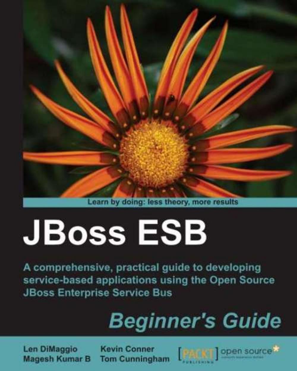 Big bigCover of JBoss ESB Beginners Guide