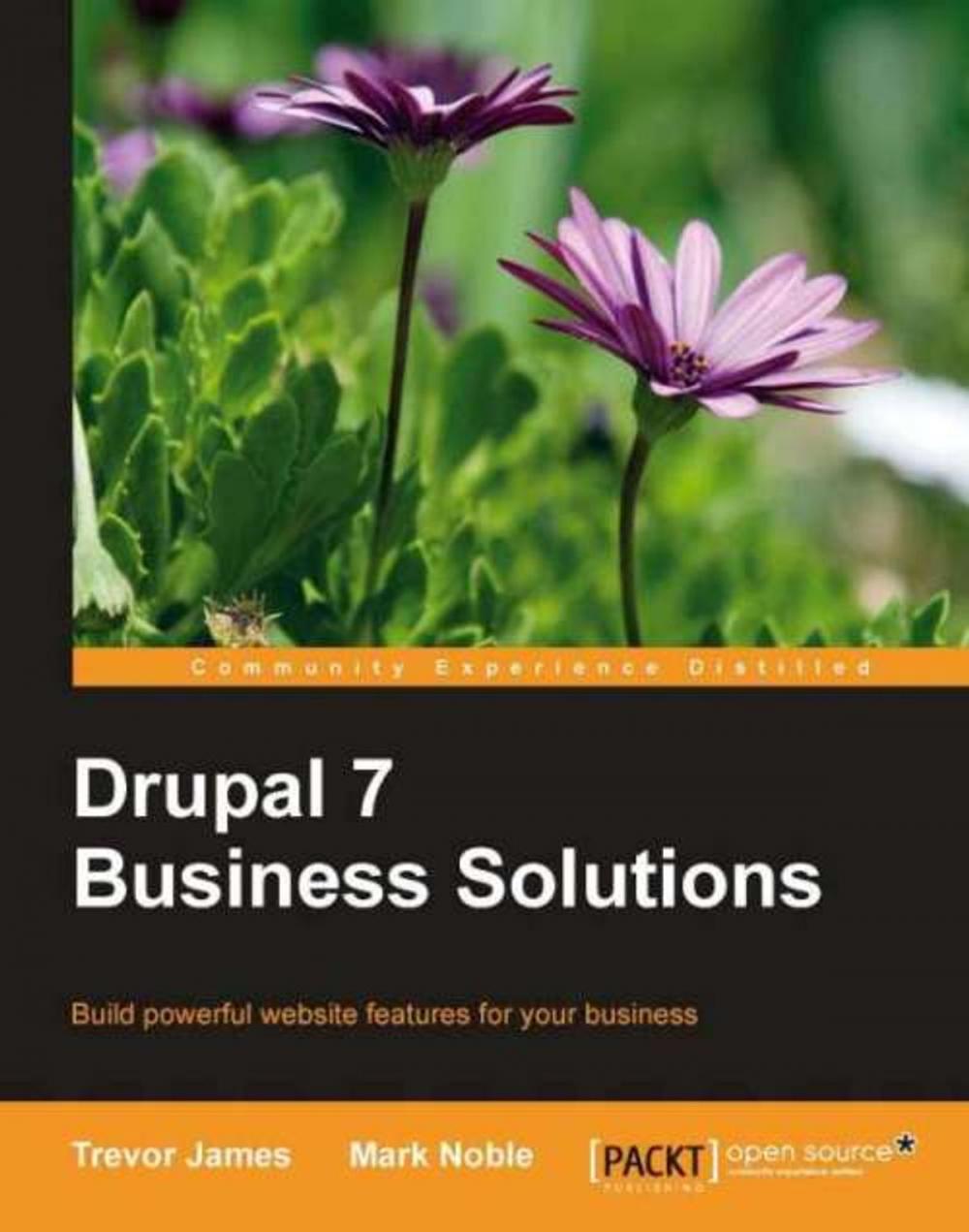 Big bigCover of Drupal 7 Business Solutions