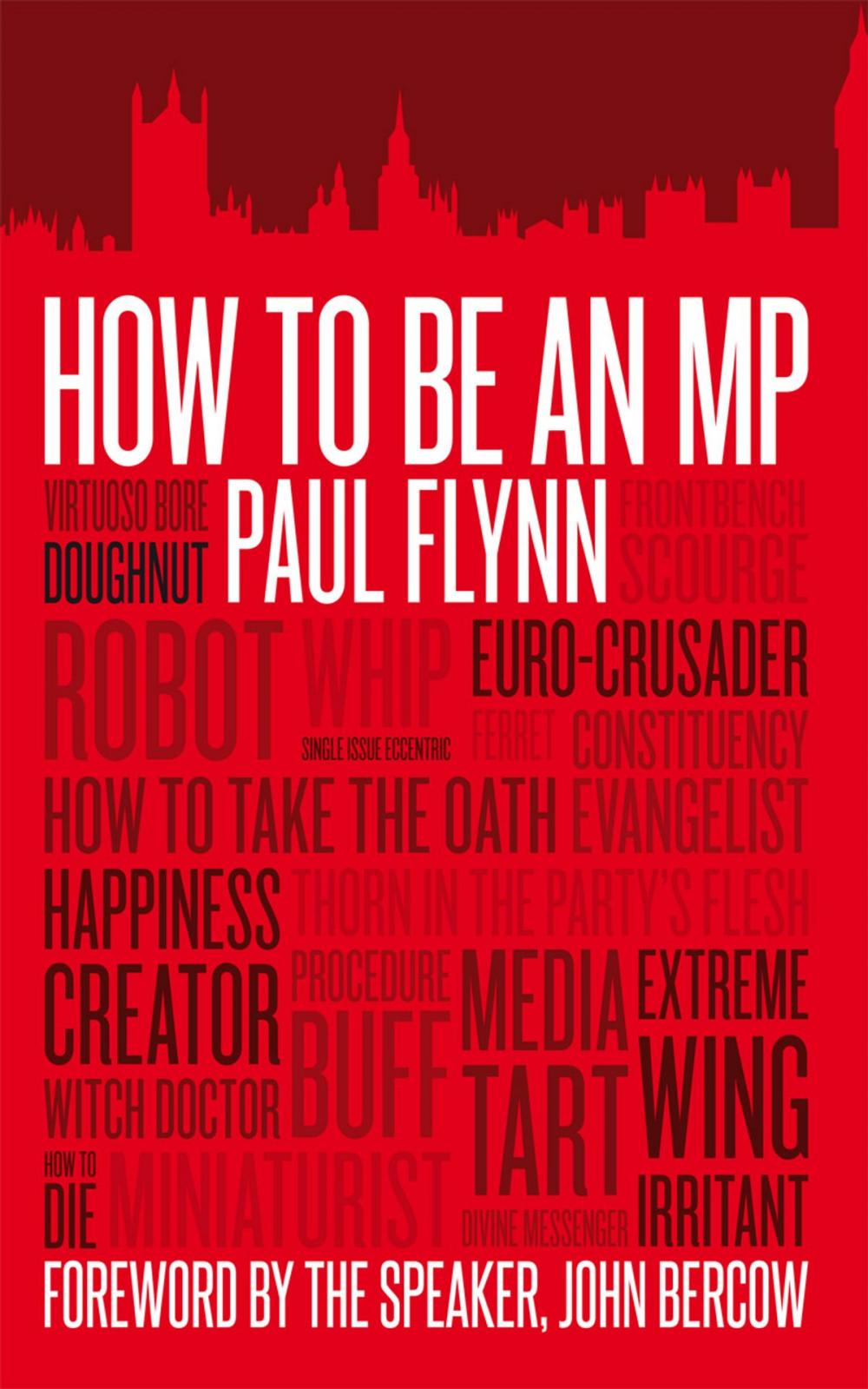 Big bigCover of How to be an MP