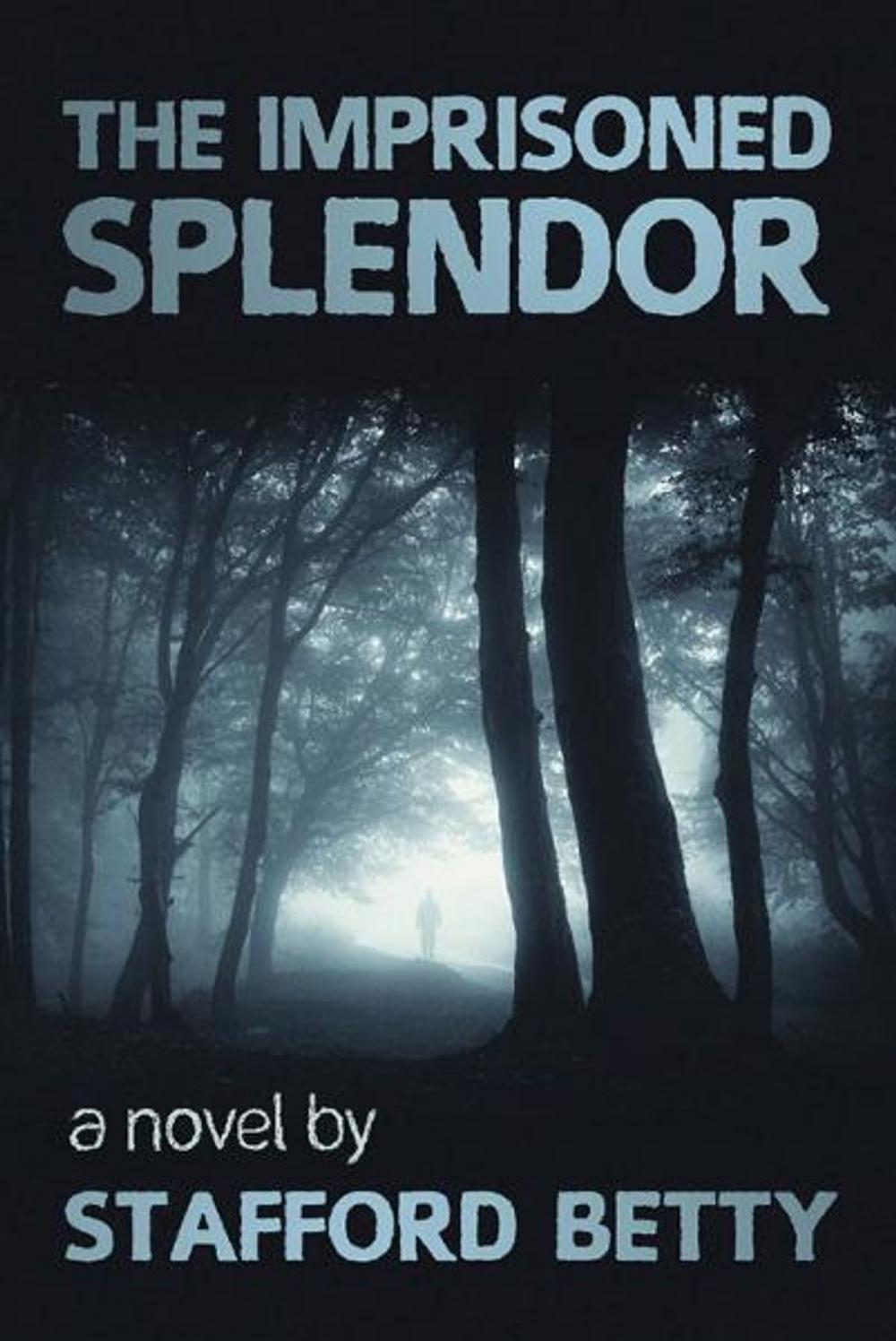 Big bigCover of The Imprisoned Splendor