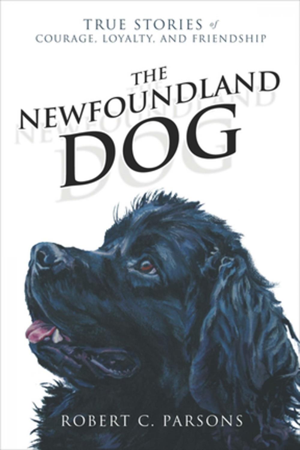 Big bigCover of The Newfoundland Dog: True Stories of Courage, Loyalty, and Friendship