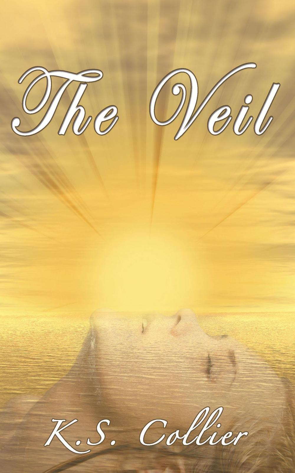 Big bigCover of The Veil