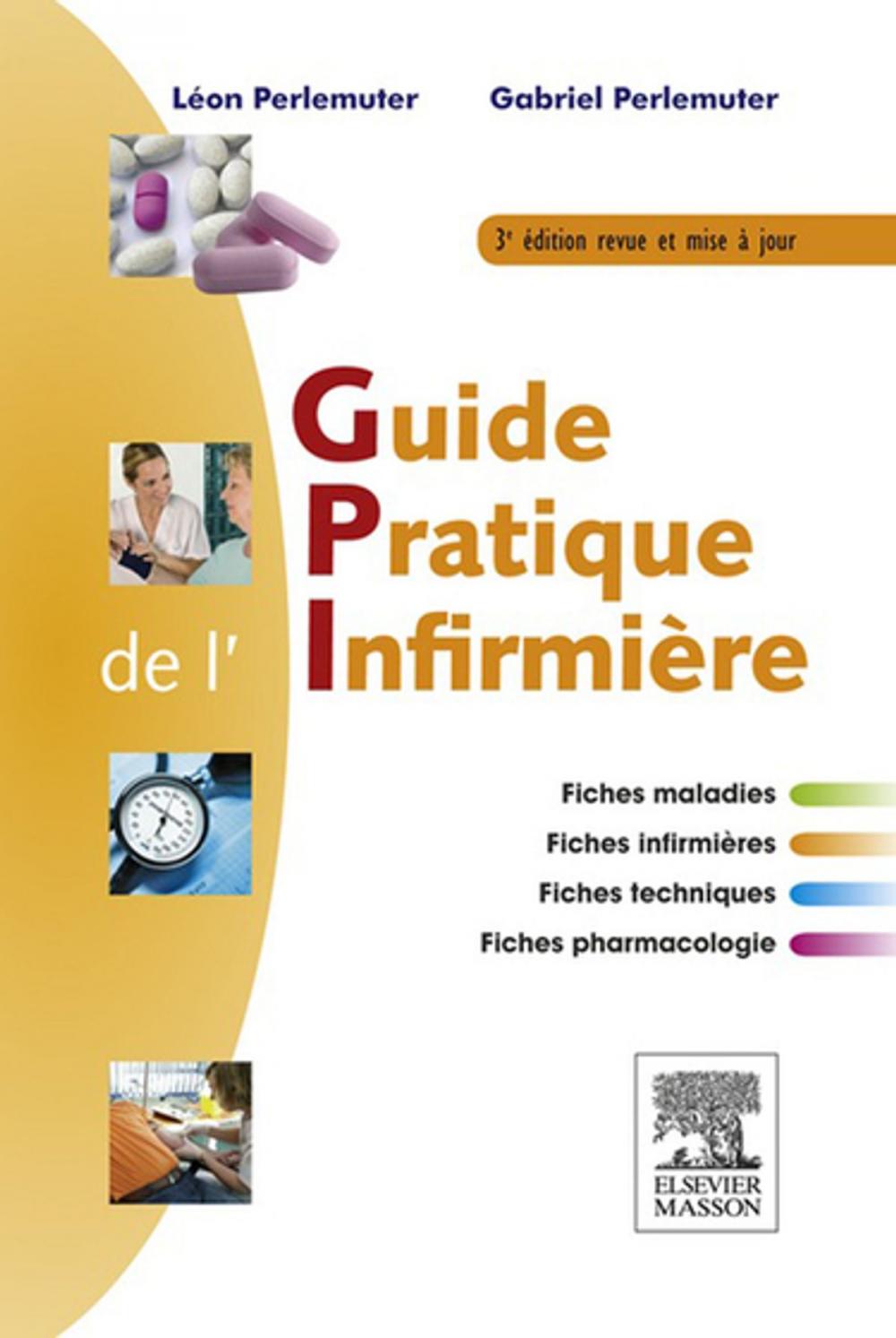 Big bigCover of Guide pratique de l'infirmière