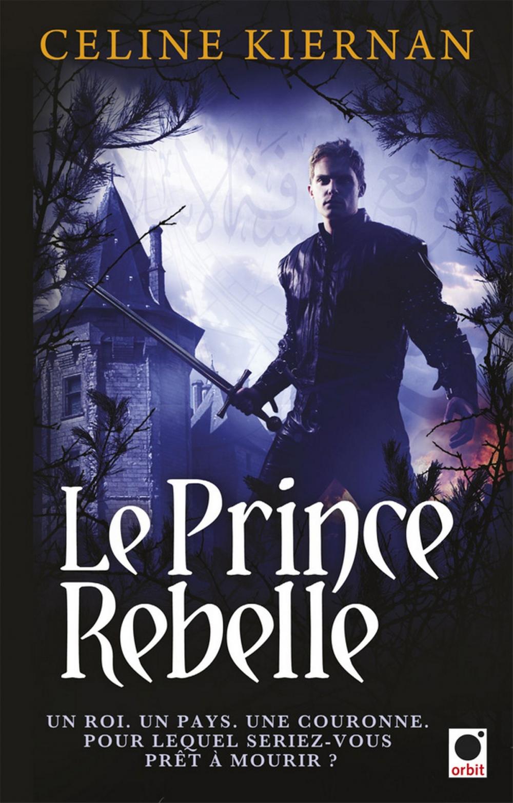 Big bigCover of Le Prince rebelle (Les Moorehawke***)