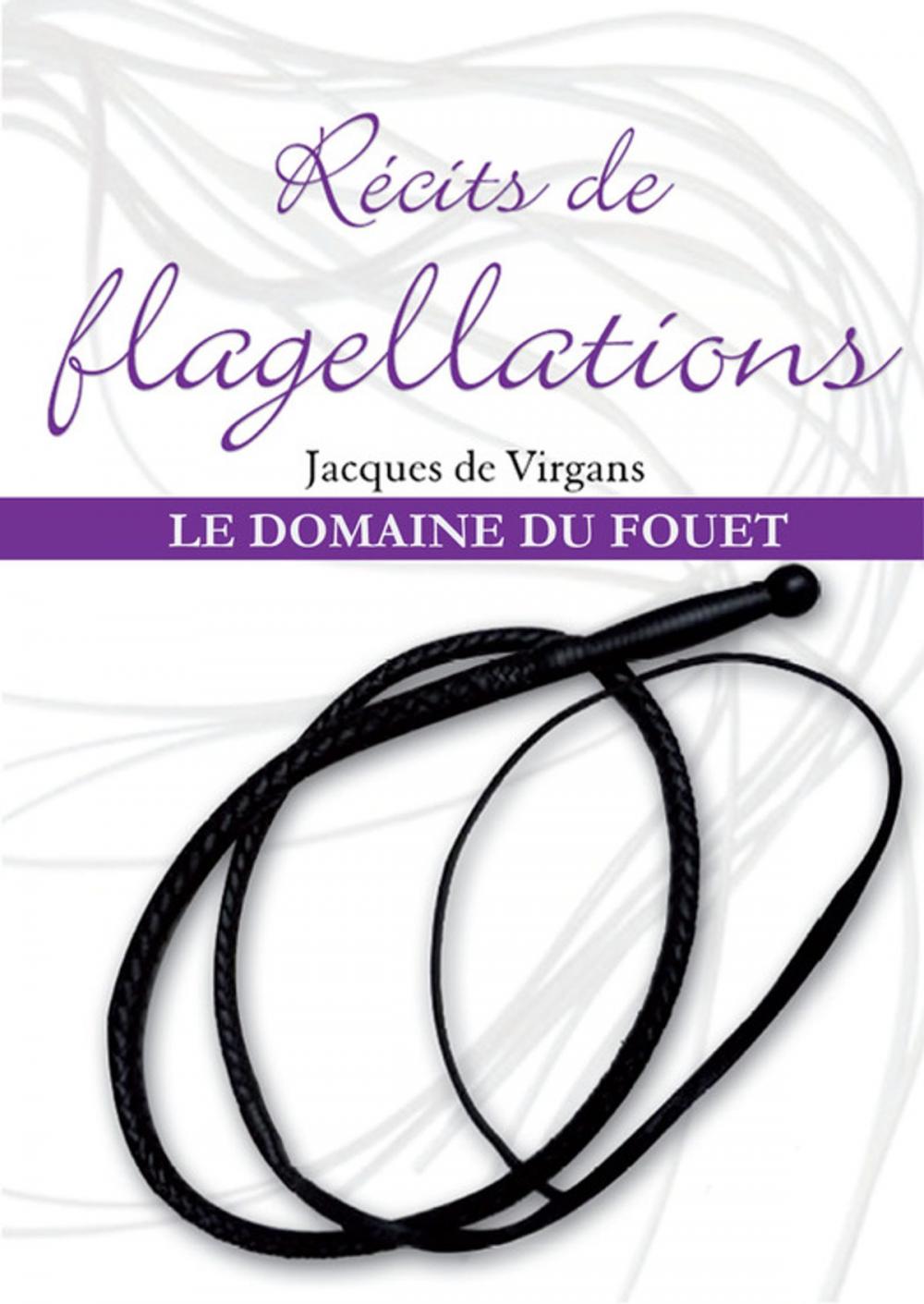 Big bigCover of Récits de flagellations Tome 2