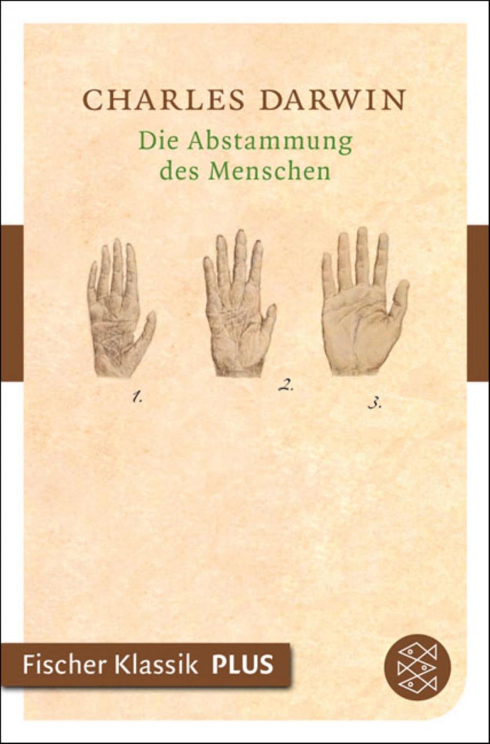 Big bigCover of Die Abstammung des Menschen