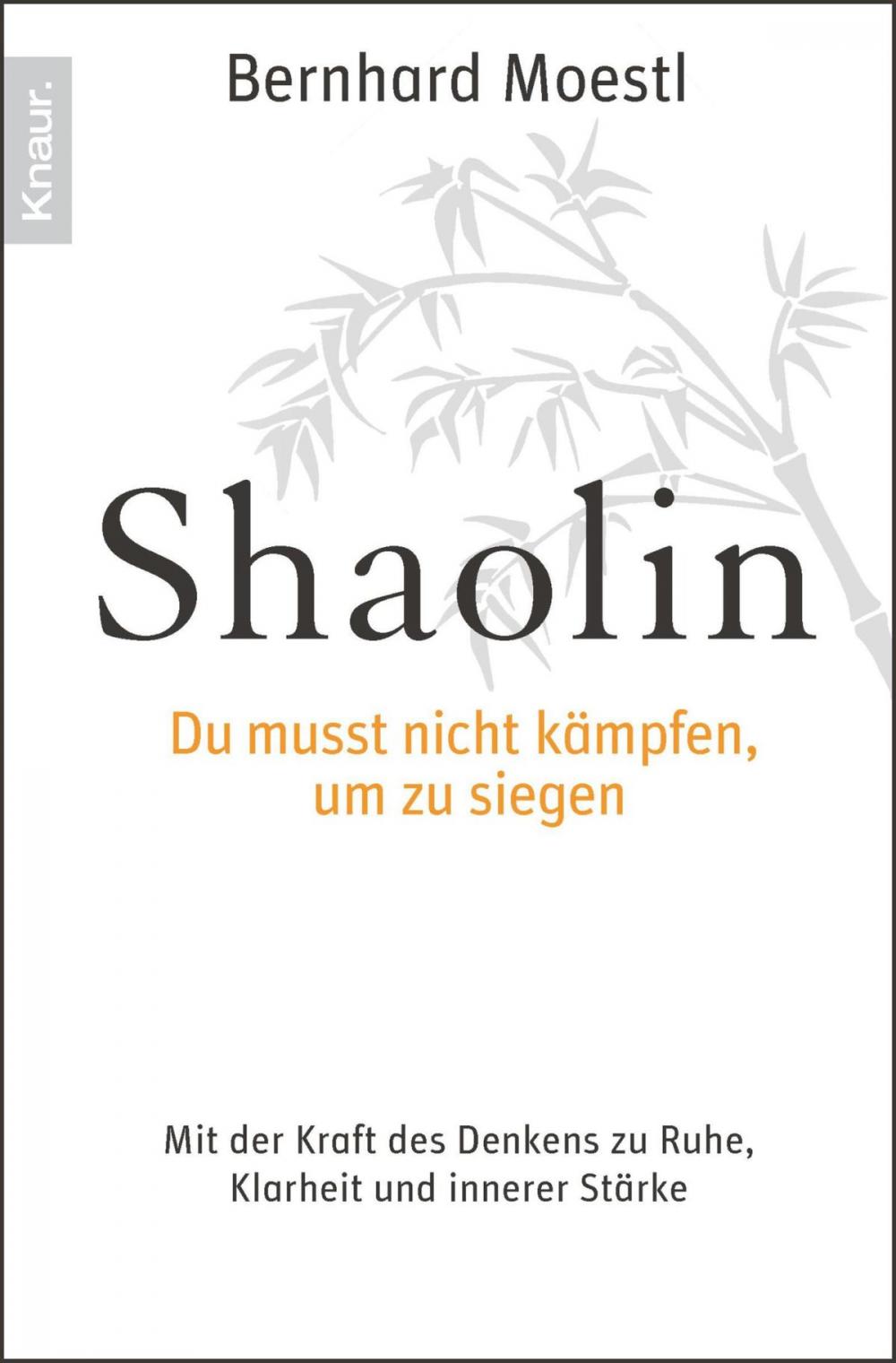 Big bigCover of Shaolin - Du musst nicht kämpfen, um zu siegen!