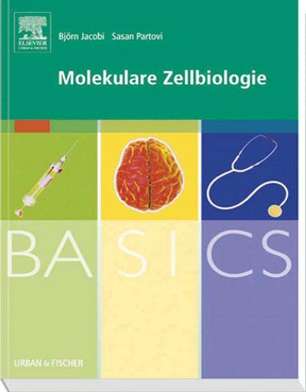 Big bigCover of BASICS Molekulare Zellbiologie