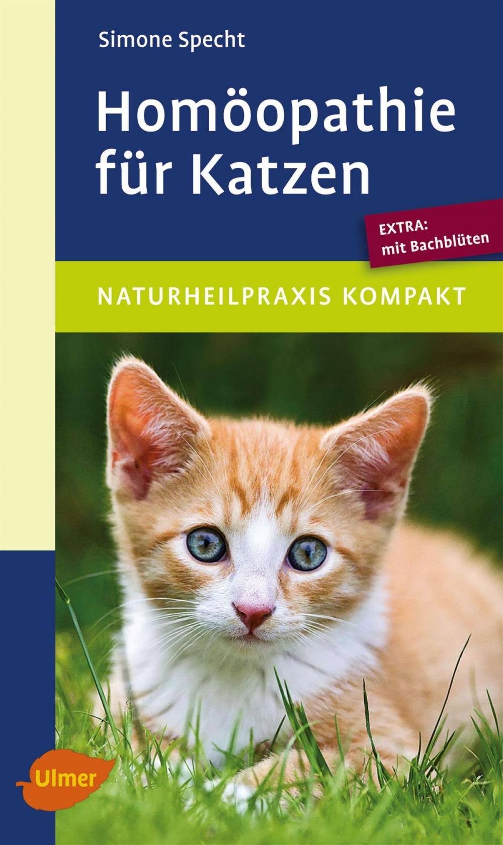 Big bigCover of Homöopathie für Katzen