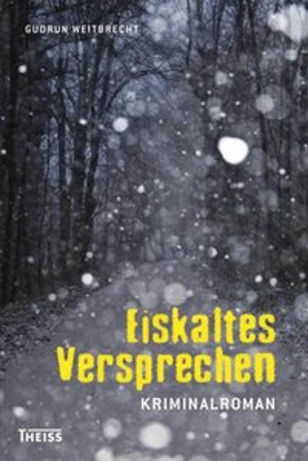 Big bigCover of Eiskaltes Versprechen