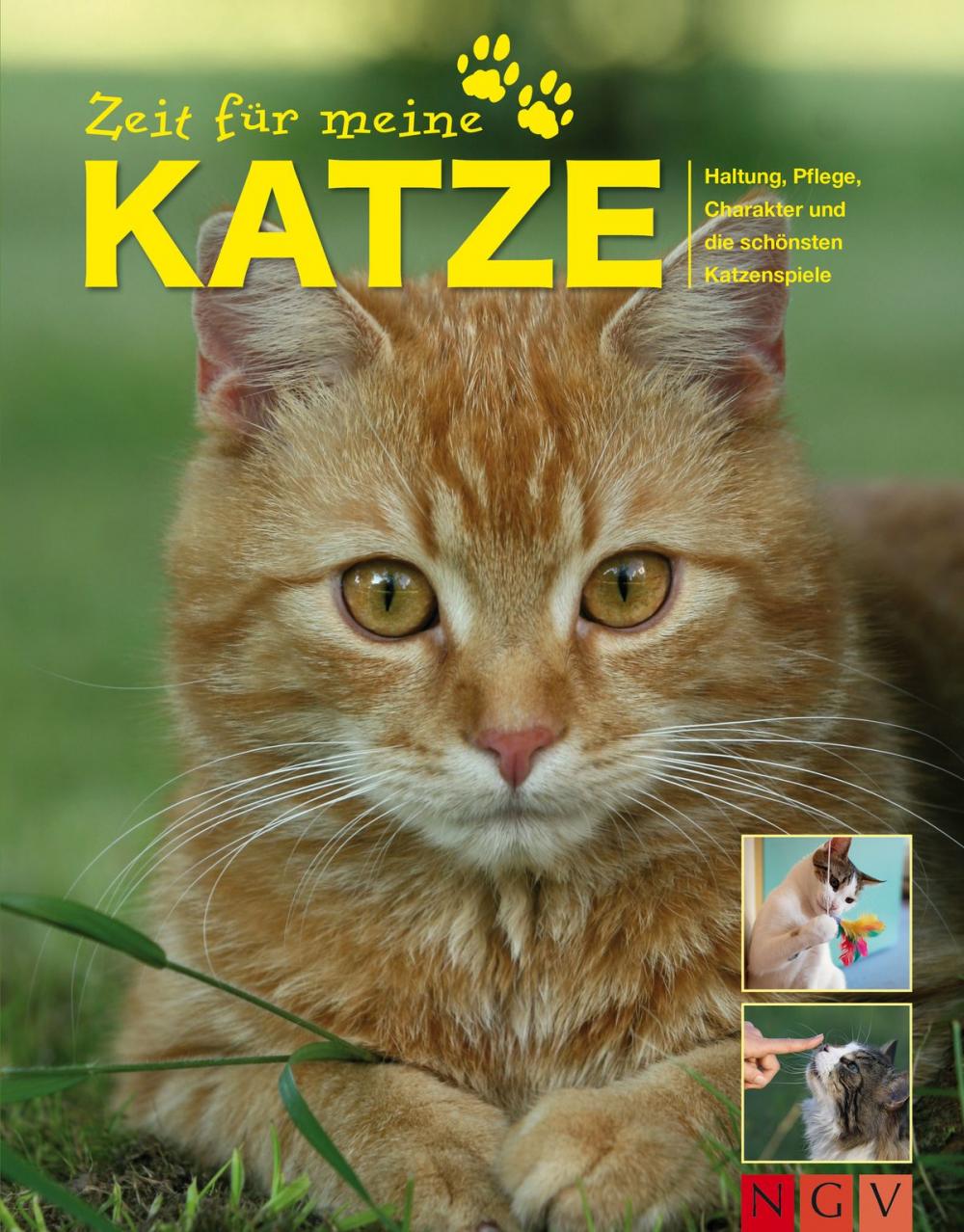 Big bigCover of Zeit für meine Katze