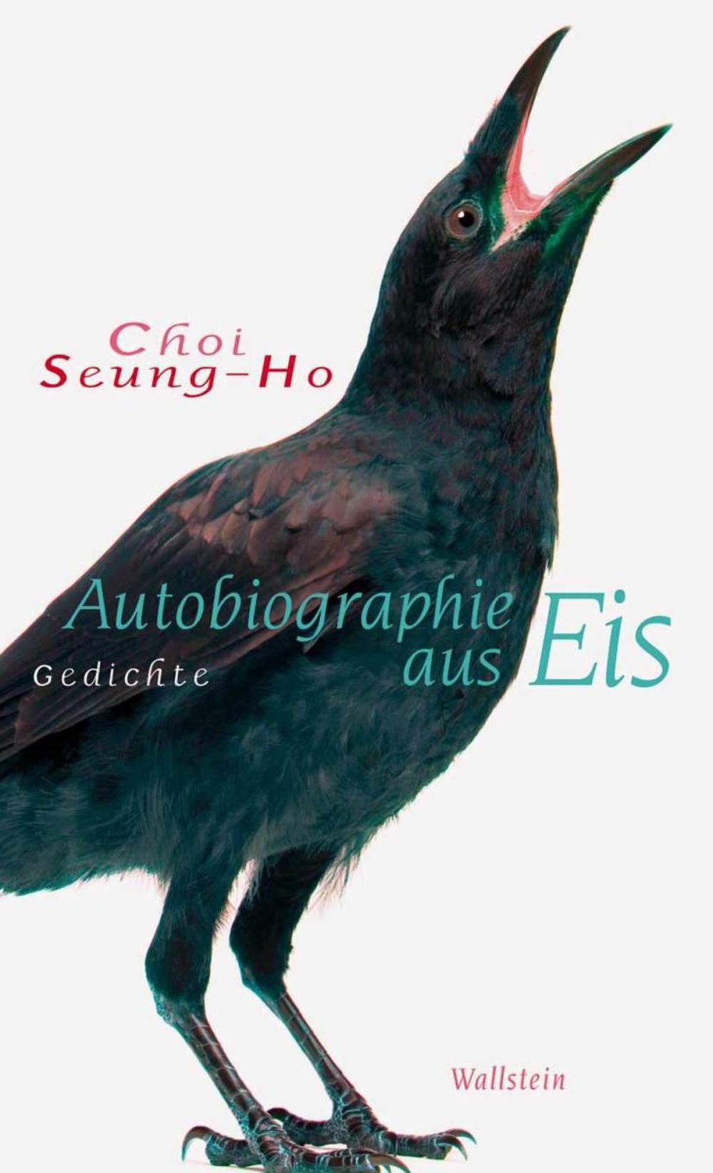 Big bigCover of Autobiographie aus Eis