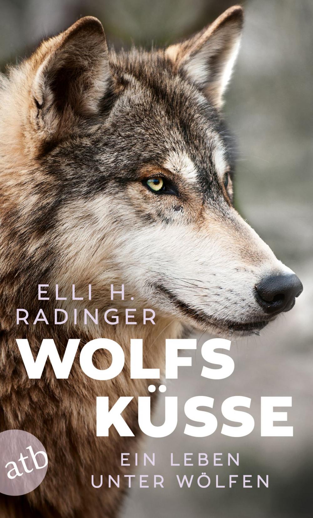 Big bigCover of Wolfsküsse