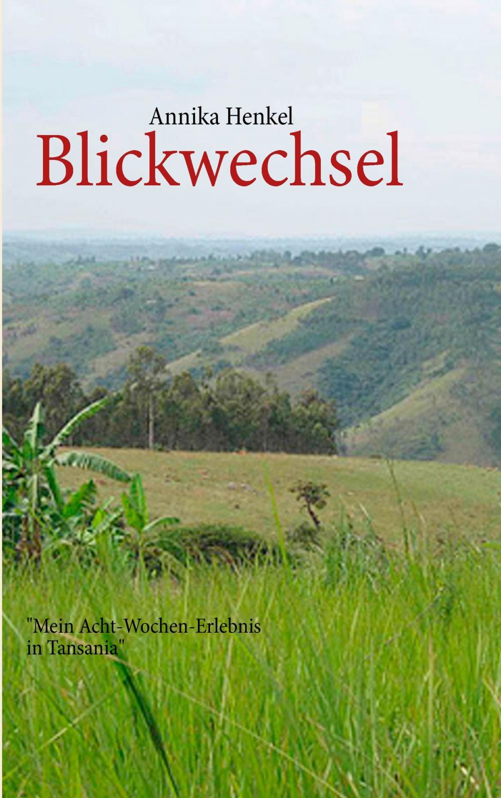 Big bigCover of Blickwechsel