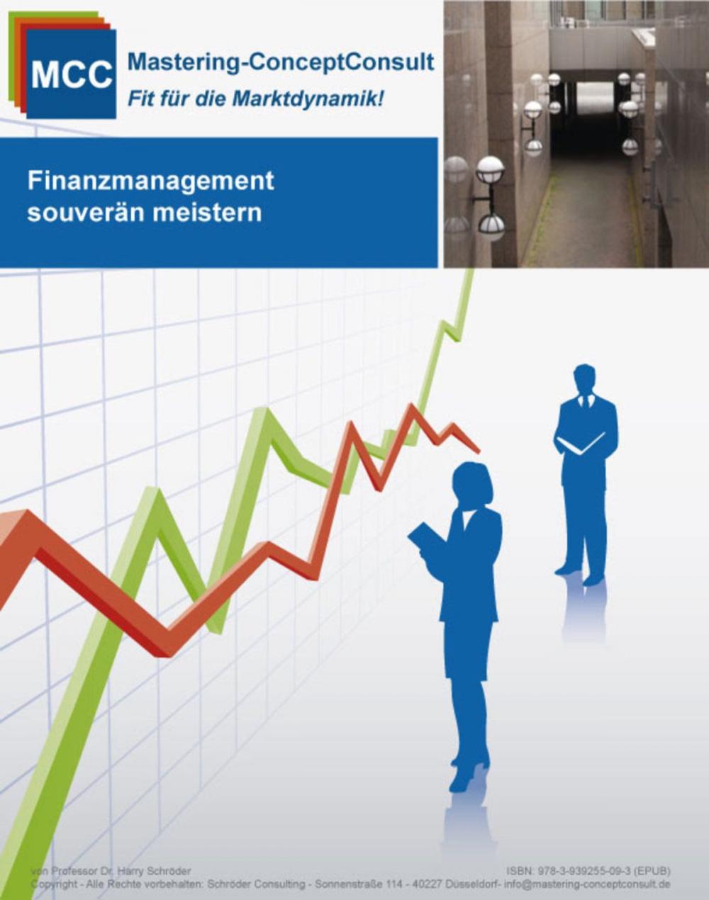 Big bigCover of Finanzmanagement souverän meistern