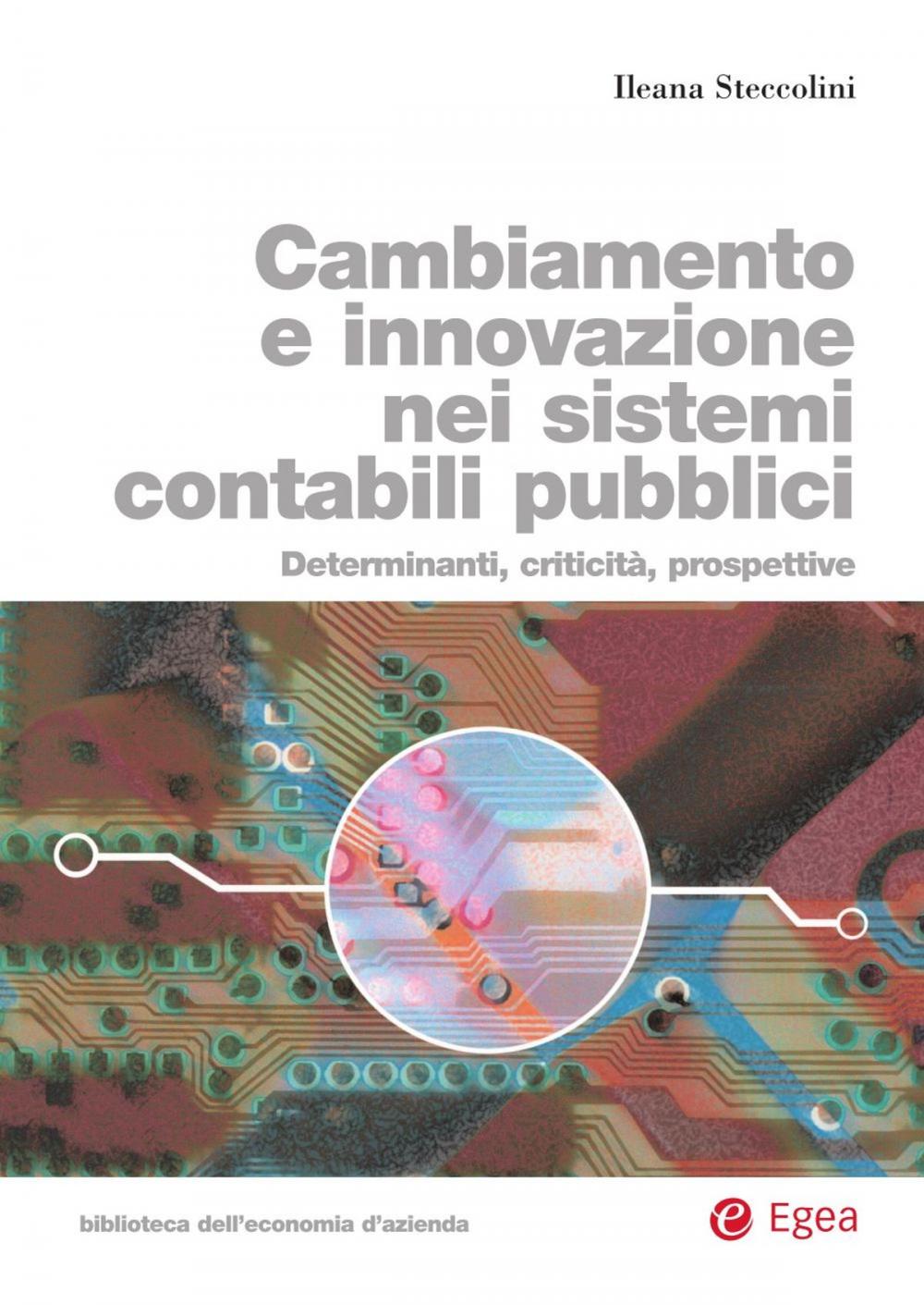 Big bigCover of Cambiamento e innovazione nei sistemi contabili pubblici