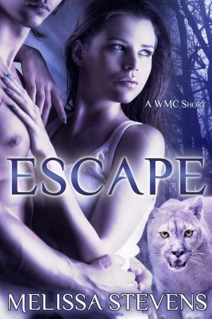 Cover of the book Escape by Melissa Stevens