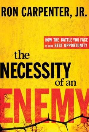 bigCover of the book The Necessity of an Enemy by 