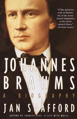 Book cover of Johannes Brahms