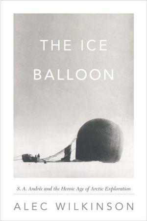 Cover of the book The Ice Balloon by S. E. Lee