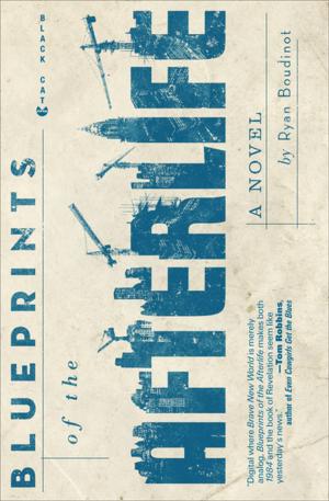 Book cover of Blueprints of the Afterlife