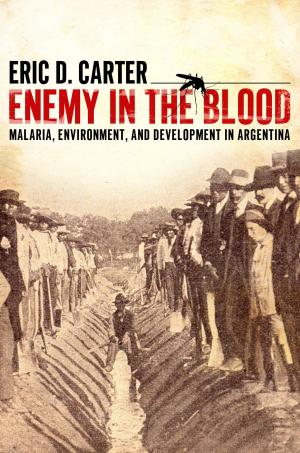 bigCover of the book Enemy in the Blood by 