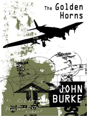 Book cover of The Golden Horns: A Mystery Novel