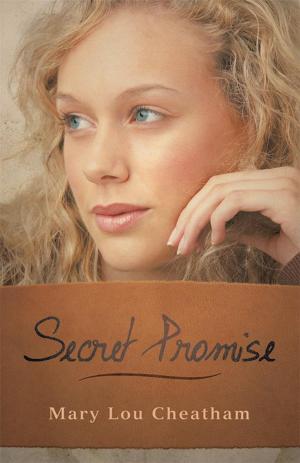 Cover of the book Secret Promise by Danny Deaubé