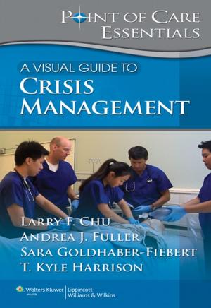 Cover of the book A Visual Guide to Crisis Management by Jonathan S. Steinberg, Suneet Mittal