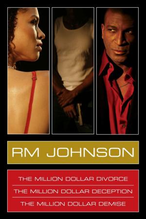 Cover of the book RM Johnson Million Dollar Series E-Book Box Set by Benedikt Maria Trappen, Luise Rinser, Volker Zotz, Lama Anagarika Govinda