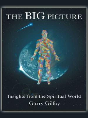 Cover of the book The Big Picture by Arnold Obomanu.