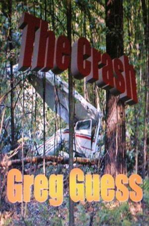bigCover of the book The Crash by 