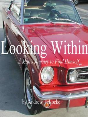 Cover of Looking Within: A Man's Journey to Find Himself