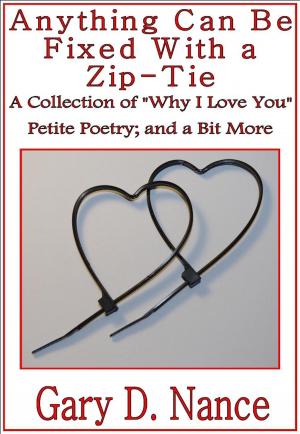 Cover of the book Anything Can Be Fixed With a Zip-Tie by Phillip Hawkins