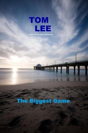 Cover of the book The Biggest Game by Amy Rogers