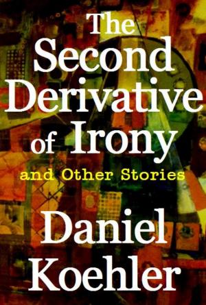 bigCover of the book The Second Derivative of Irony by 