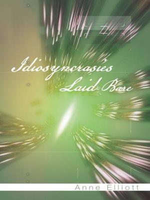 Cover of the book Idiosyncrasies Laid Bare by Abel Andarge