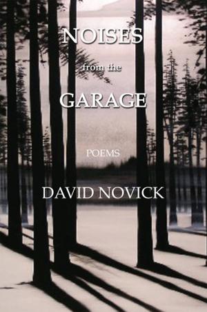 Cover of the book Noises from the Garage by Staycia Dillard