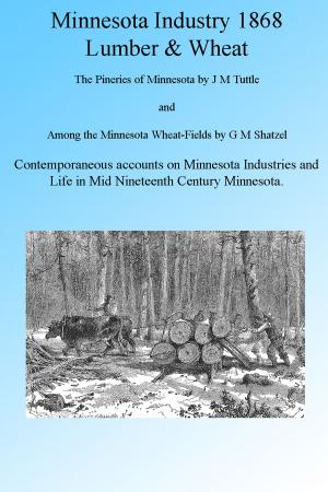 Cover of the book Minnesota Industry 1868: Wheat and Lumber, Illustrated by W H Gibson, J A Mtiches, Will Low and F Hopinson Smith