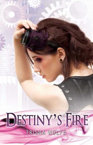 Cover of the book Destiny's Fire by Kasi Alexander, Reggie Alexander