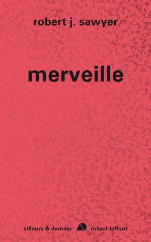 Cover of the book Merveille by Jean-Marie GOURIO