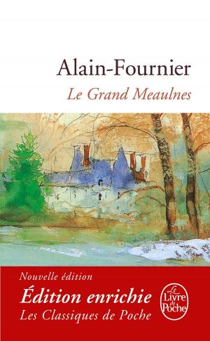 Book cover of Le Grand Meaulnes